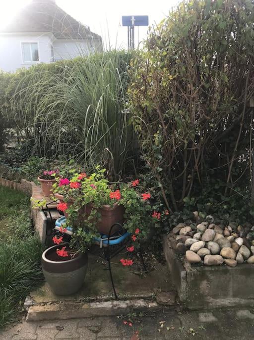 Appartement A La Decouverte De Strasbourg Bischheim Екстер'єр фото